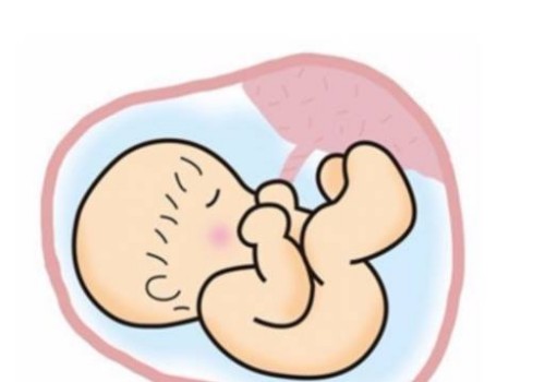 温州正规助孕机构：产后漏奶尴尬？教你几个小妙招轻松化解