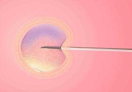 温州助孕正规代怀：﻿肚子痛是试管移植后的正常反应吗？医生为您解答