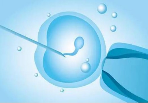 2023北京三代供卵试管婴儿费用明细，由五部分组成