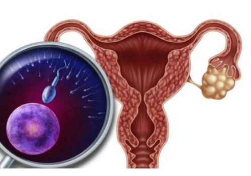 温州助孕代怀生男孩机构：﻿母乳检测结果怎么看？看这三个方面就可知道母乳怎么样