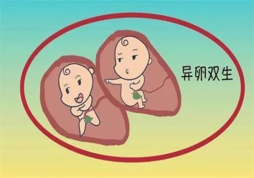 温州助孕代怀：﻿试管婴儿胚胎发育缓慢，跟这些因素有关